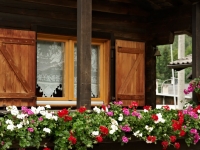 Orserose Chalet Zoldo_I fer da Stira 6